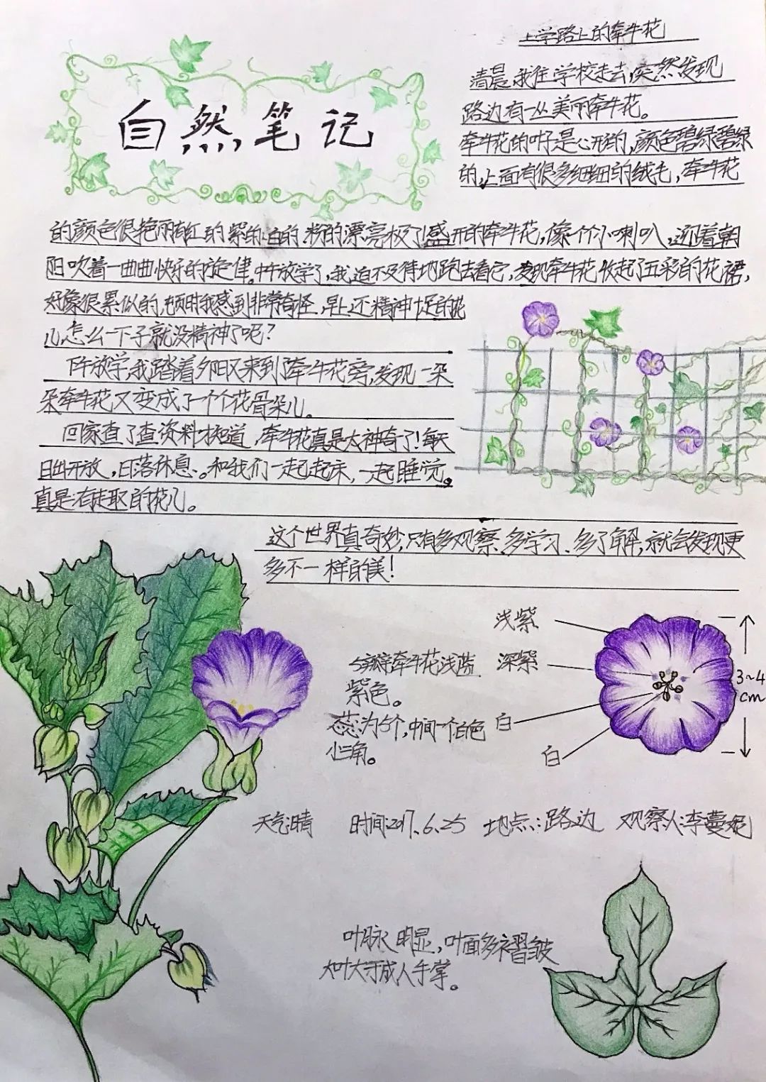 刷快手粉丝的微信号_快手刷活粉微信支付_快手刷粉平台永不掉粉