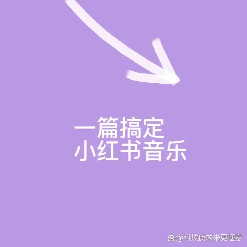 美丽的企鹅_我爱王美丽企鹅号_企鹅美丽王号图片大全